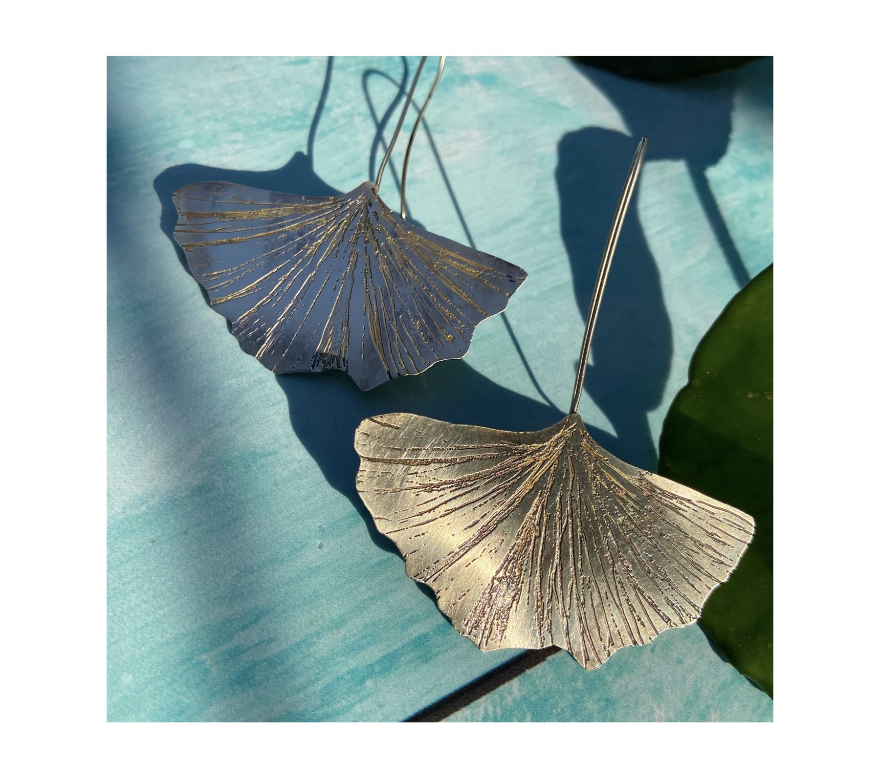 Ginkgo biloba