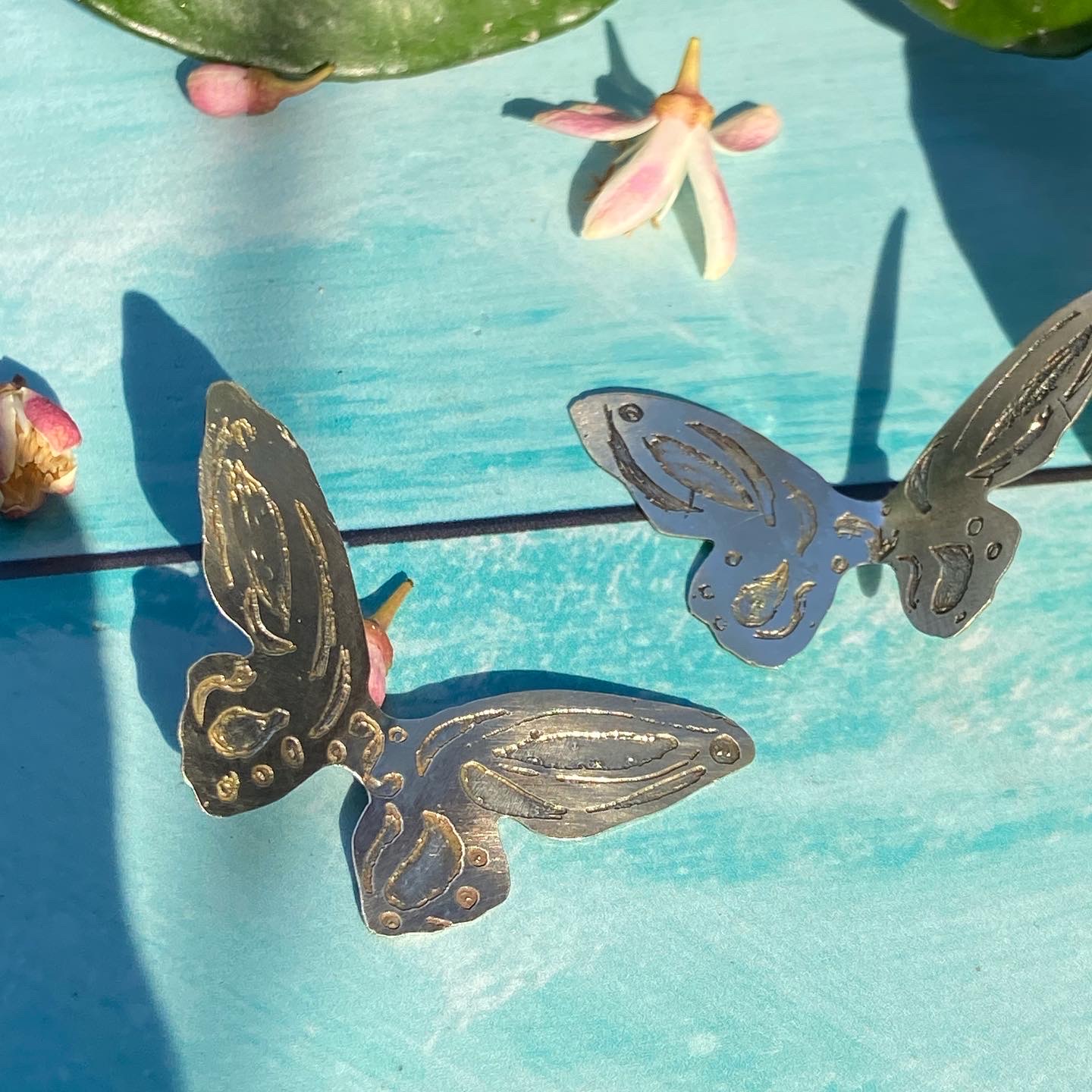 Mariposas