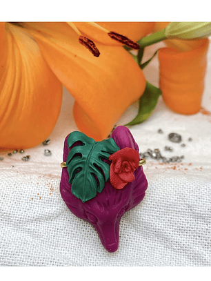 Anillo foxylobi tropical