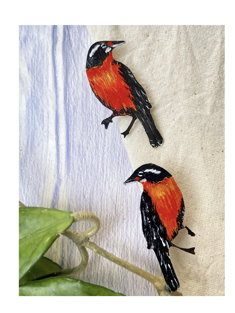 Pendientes o Aros ilustrados Loícas 1