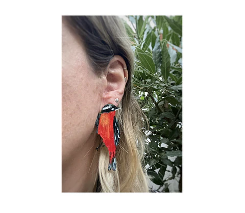 Pendientes o Aros ilustrados Loícas
