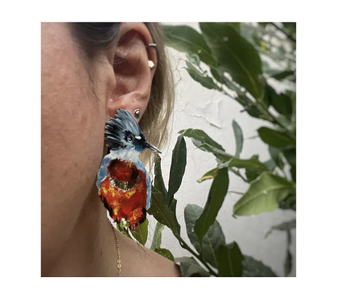 Pendientes o Aros Ave Martín Pescador 