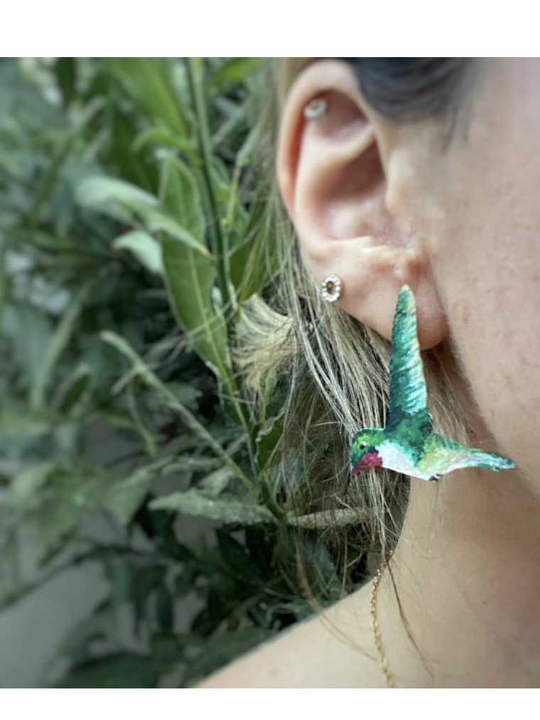 Pendientes o aros de Colibrí Nortino Chileno 3