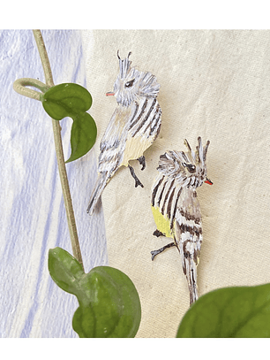 Pendientes o Aros  Pájaro Cachudito Chileno