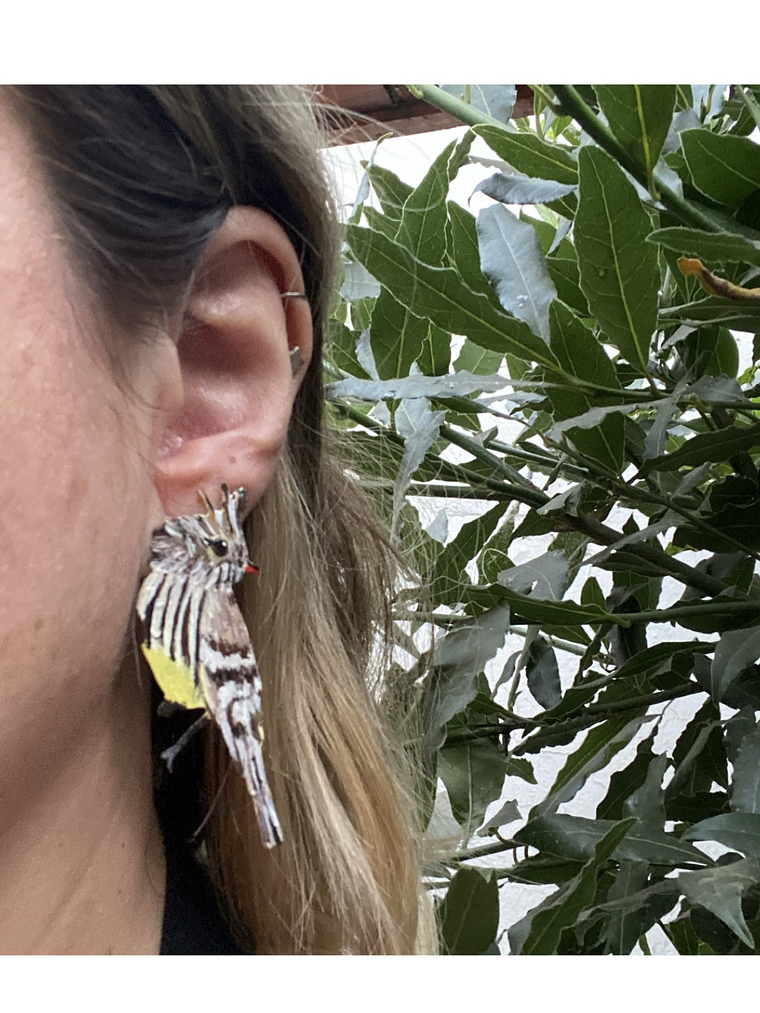 Pendientes o Aros  Pájaro Cachudito Chileno 2