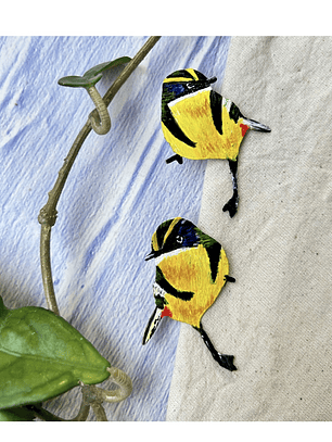 Pendientes o Aros de pájaro Siete colores Chileno