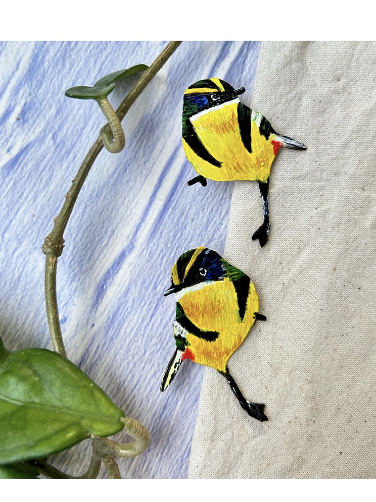 Pendientes o Aros de pájaro Siete colores Chileno 1