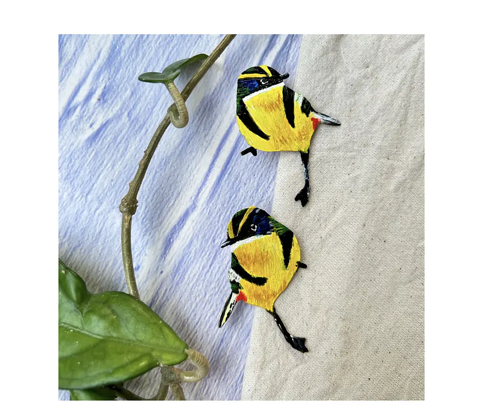 Pendientes o Aros de pájaro Siete colores Chileno 1