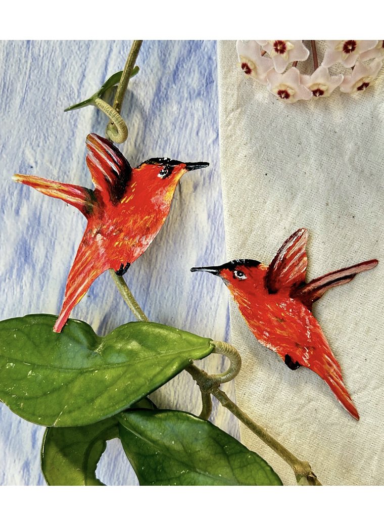 Pendientes Aros ilustrados de Picaflor de Juan Fernandez Macho 1