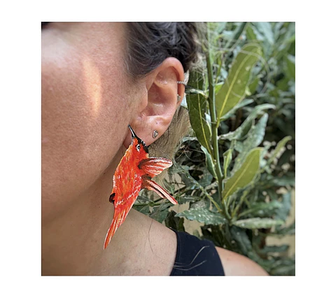 Pendientes Aros ilustrados de Picaflor de Juan Fernandez Macho