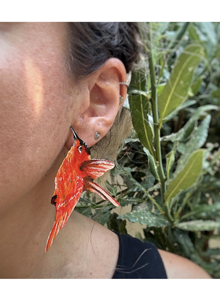 Pendientes Aros ilustrados de Picaflor de Juan Fernandez Macho 2