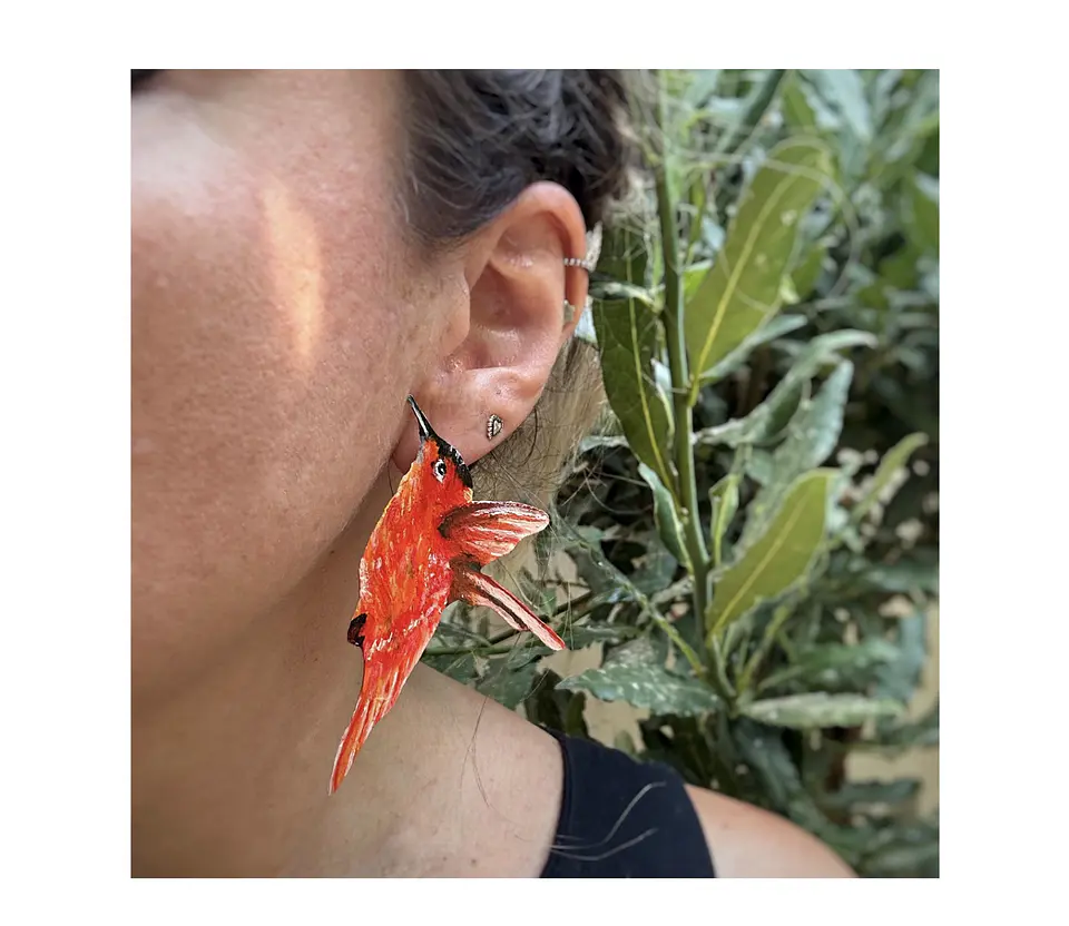 Pendientes Aros ilustrados de Picaflor de Juan Fernandez Macho 2