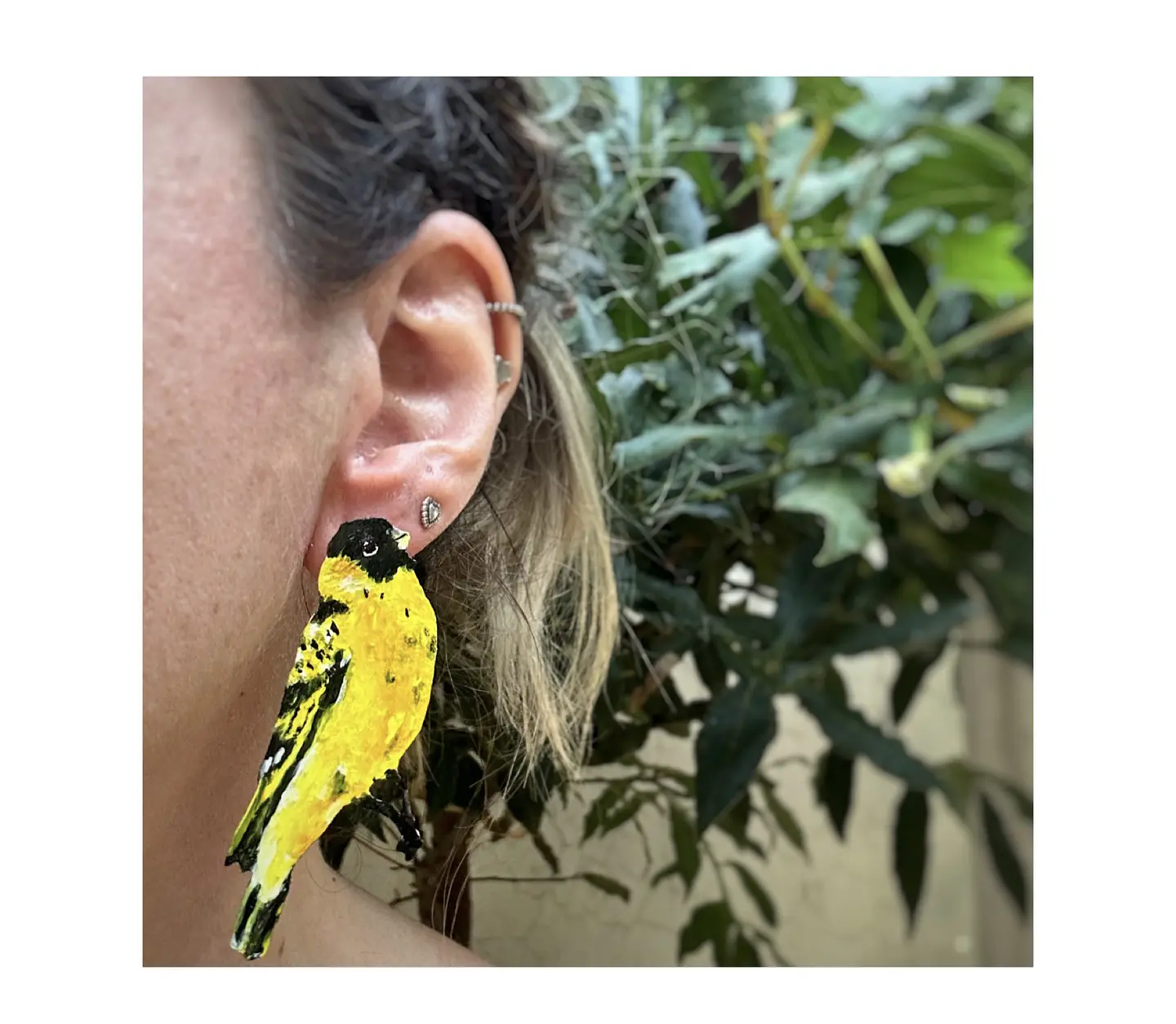 Pendientes o Aros ilustrados de Jilguero Ave Chilena 2