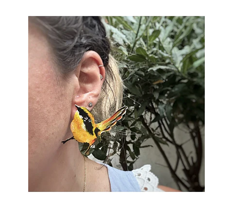 Pendientes o Aros ilustrados de Aves “Rayadito" 