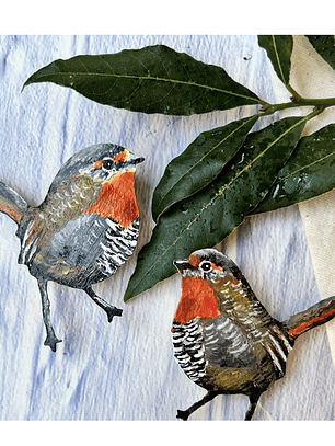 Pendientes o Aros ilustrados de pájaro  “Chucao