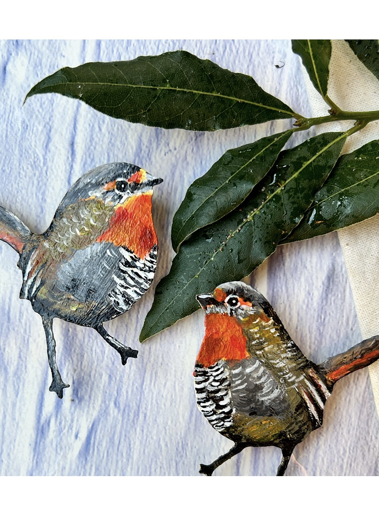 Pendientes o Aros ilustrados de pájaro  “Chucao