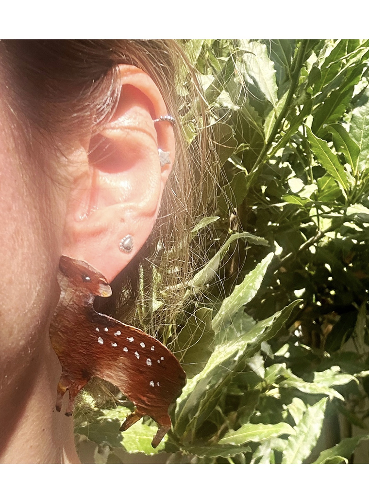 Pendientes o Aros ilustrados de Pudù Chileno 2