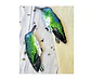 Pendientes o Aros ilustrados Colibrí hembra de la isla Juan Fernandez - Miniatura 1