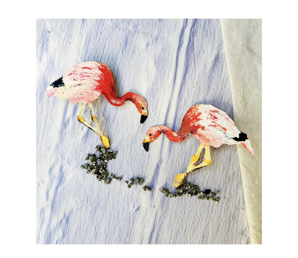 Pendientes o Aros Ilustrados Parinas o flamencos Chilenos 1