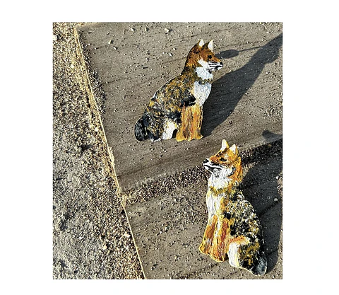 Pendientes Aros de Zorrito de Darwin 