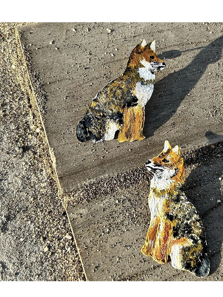 Pendientes Aros de Zorrito de Darwin  2