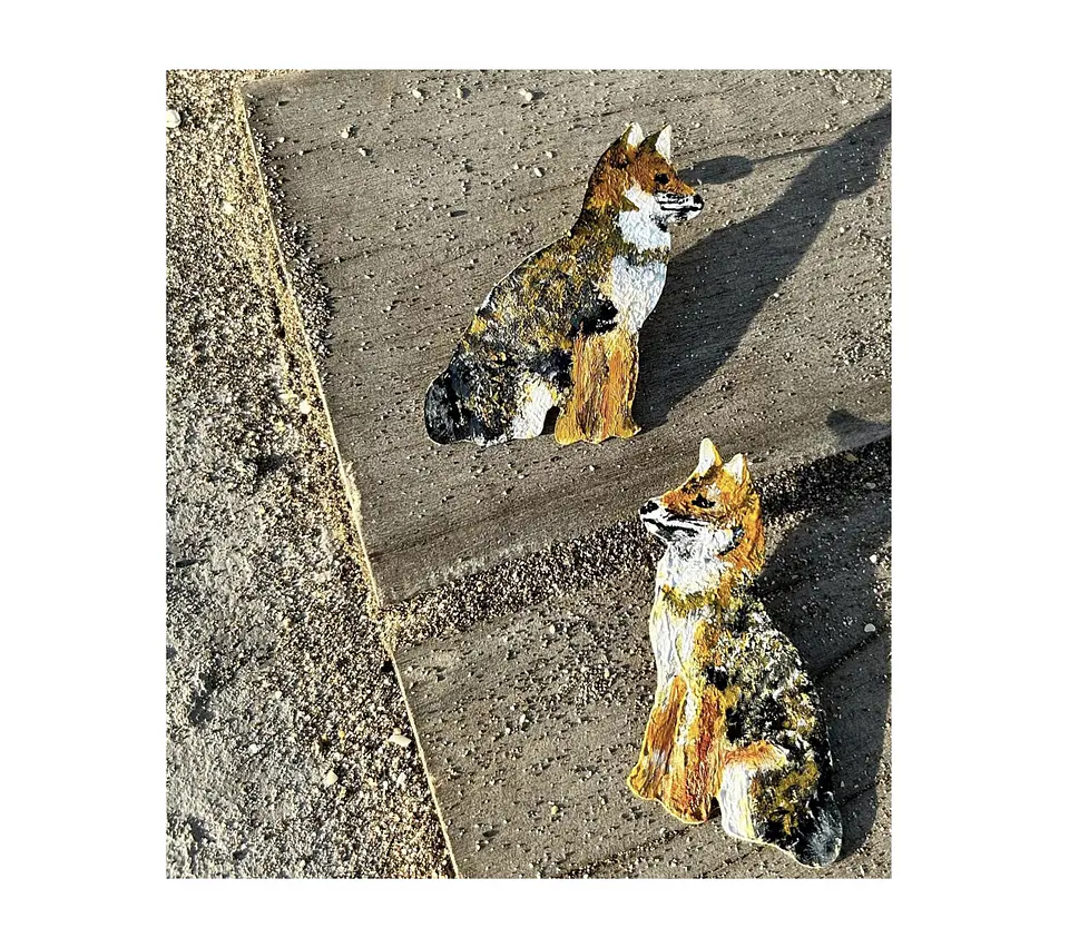Pendientes Aros de Zorrito de Darwin  2