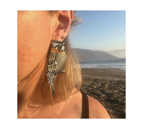 Pendientes o Aros ilustrados ave “Chincol"