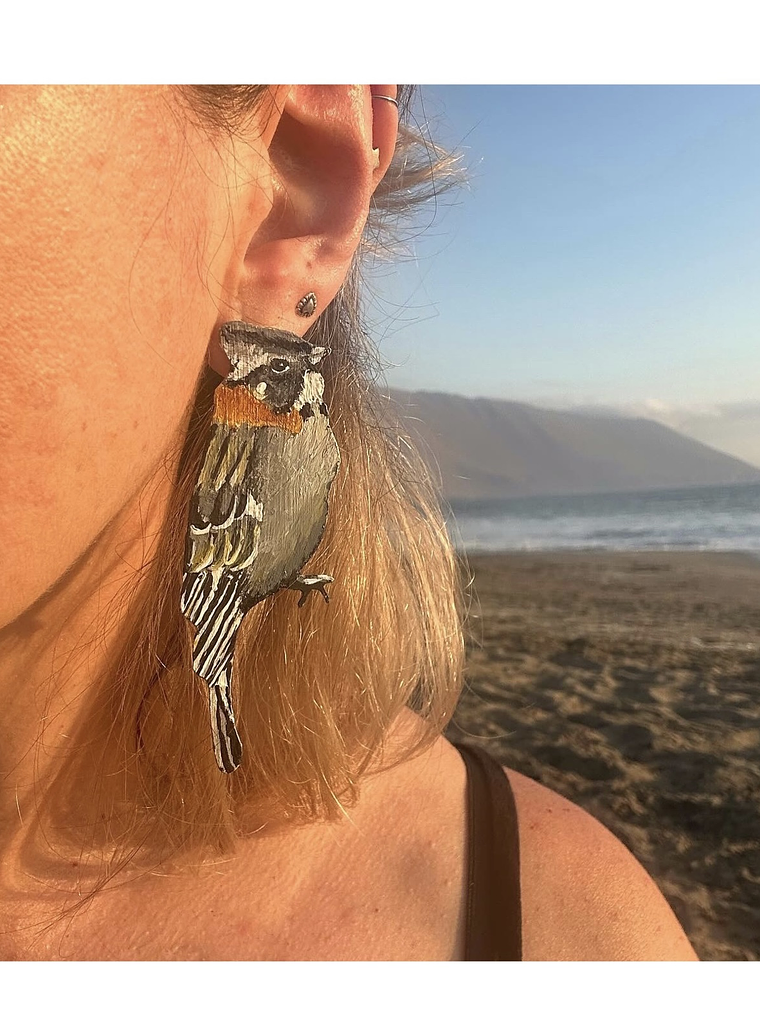 Pendientes o Aros ilustrados ave “Chincol