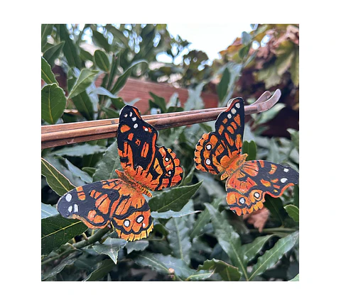 Pendientes o Aros mariposas ilustradas,  Mariposa colorada Chilena