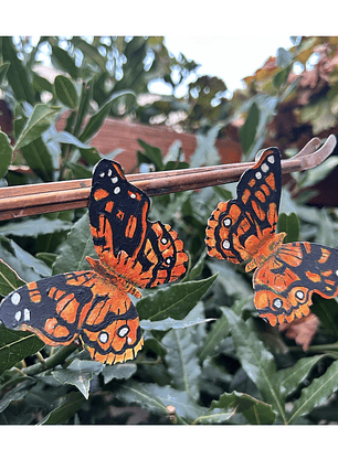 Pendientes o Aros mariposas ilustradas,  Mariposa colorada Chilena