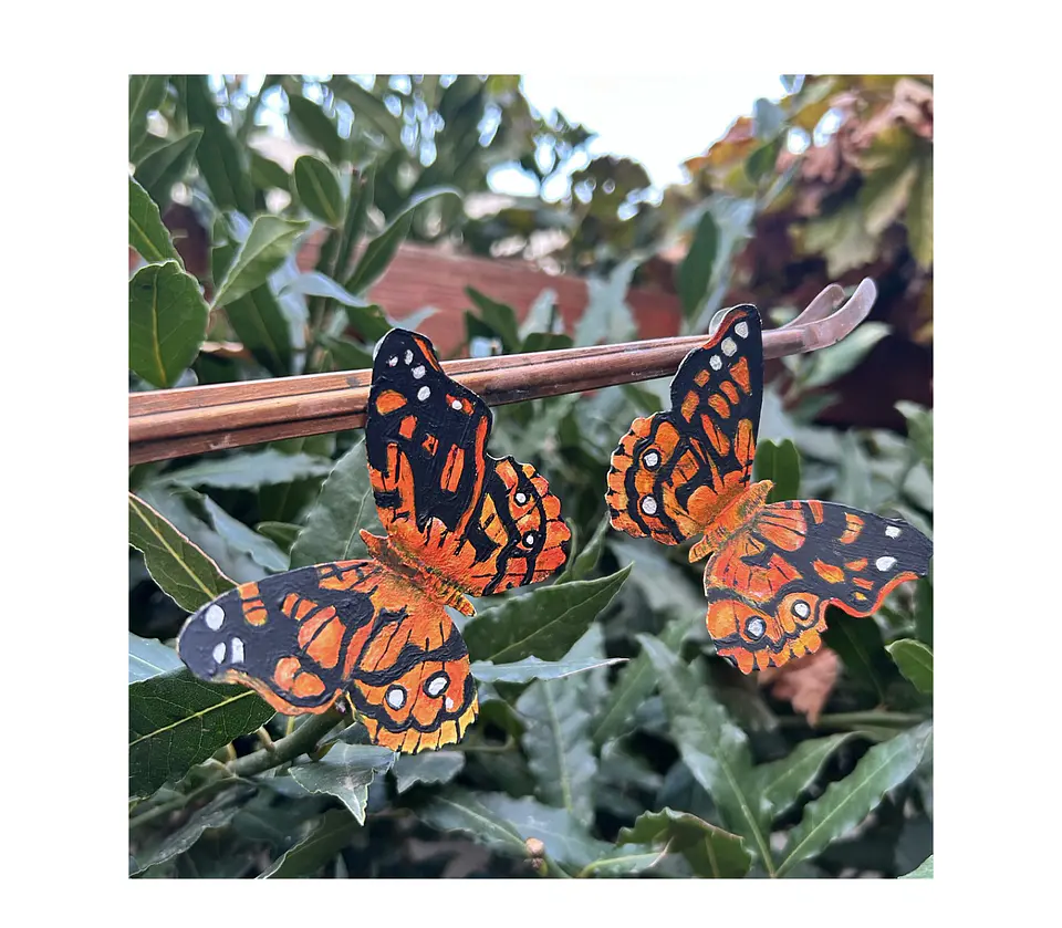 Pendientes o Aros mariposas ilustradas,  Mariposa colorada Chilena 1