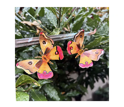 Pendientes o aros de mariposas ilustradas Buho 