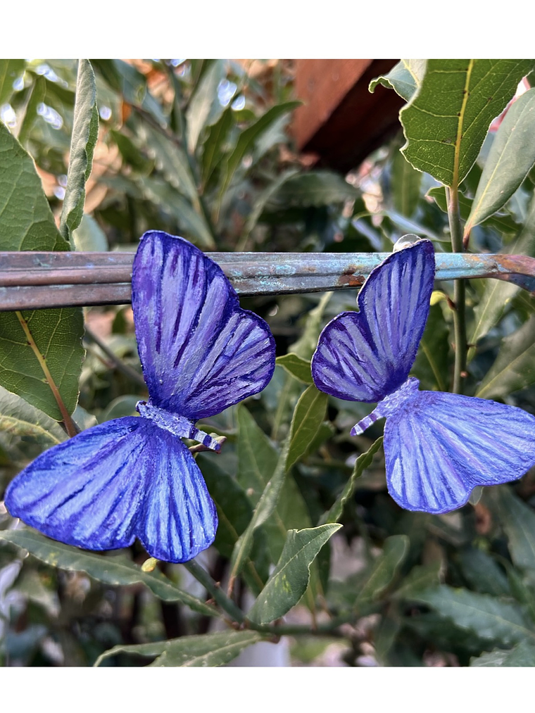 Pendientes o Aros mariposas del tamarugo 1