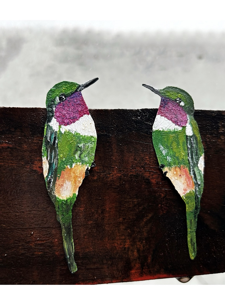 Pendientes o Aros ilustrados colibrí del norte posado 1