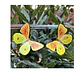 Pendientes o aros de Mariposa de Limonero - Miniatura 1