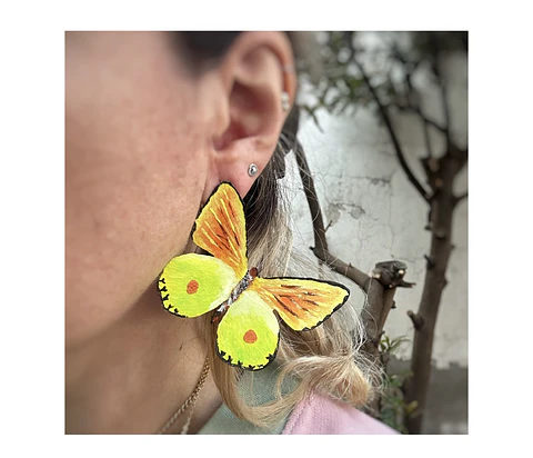 Pendientes o aros de Mariposa de Limonero