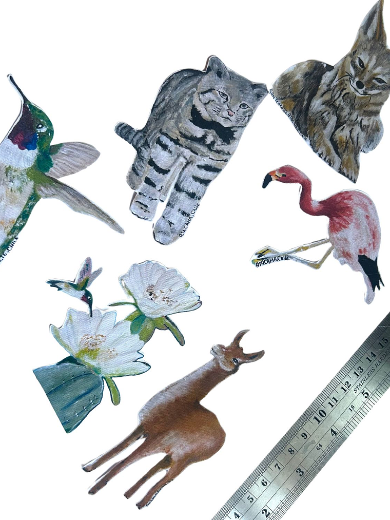 Sticker Fauna Nortina  1