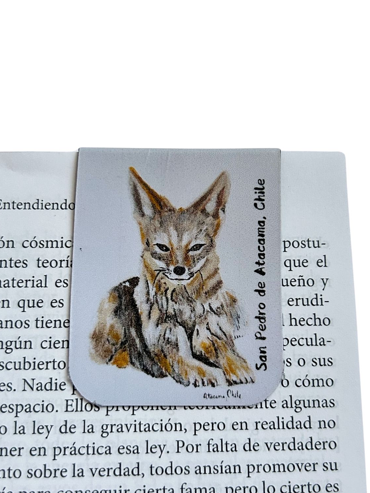 Marcadores de Página Imantados de ilustraciones Chilenas 1