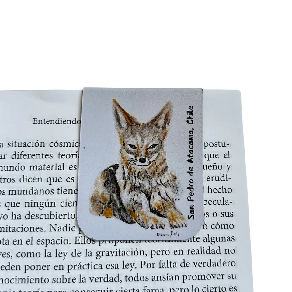 Marcadores de Página Imantados de ilustraciones Chilenas 1