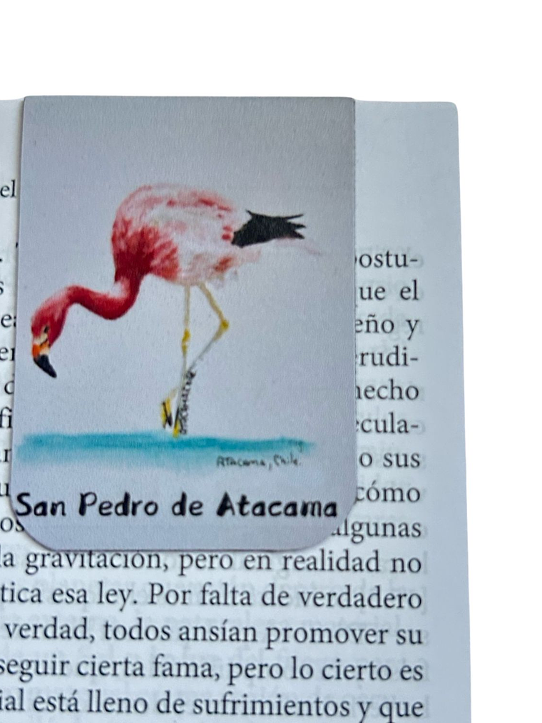 Marcadores de Página Imantados de ilustraciones Chilenas 2