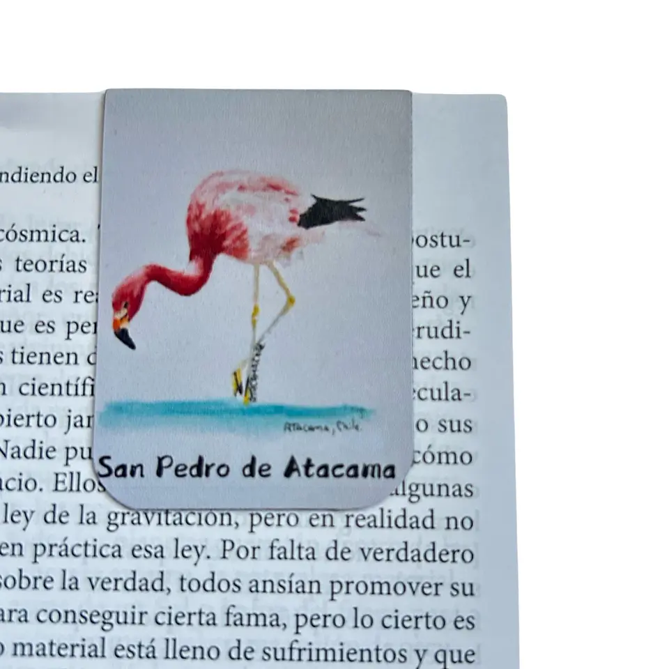 Marcadores de Página Imantados de ilustraciones Chilenas 2