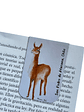 Marcadores de Página Imantados de ilustraciones Chilenas - Miniatura 3