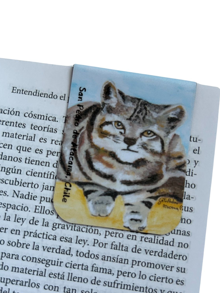 Marcadores de Página Imantados de ilustraciones Chilenas 4