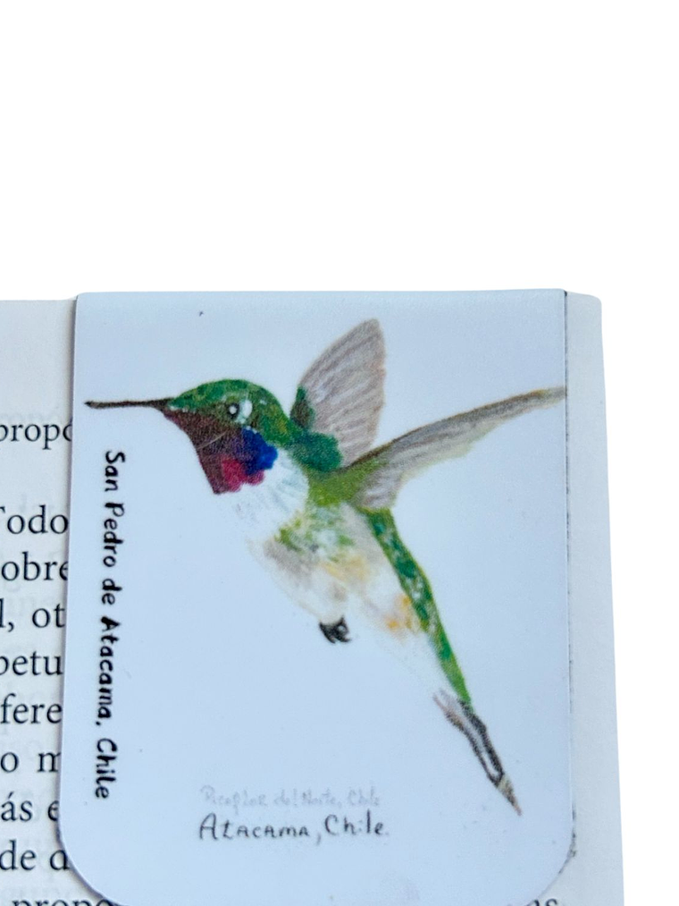 Marcadores de Página Imantados de ilustraciones Chilenas 5