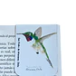 Marcadores de Página Imantados de ilustraciones Chilenas - Miniatura 5