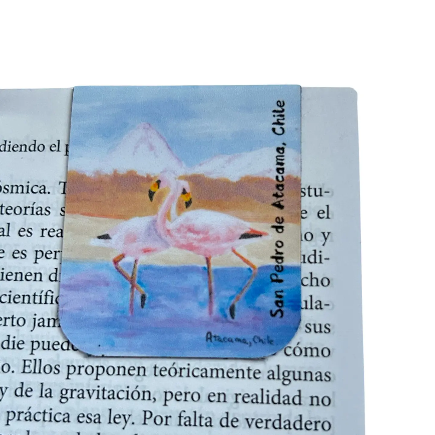 Marcadores de Página Imantados de ilustraciones Chilenas 7