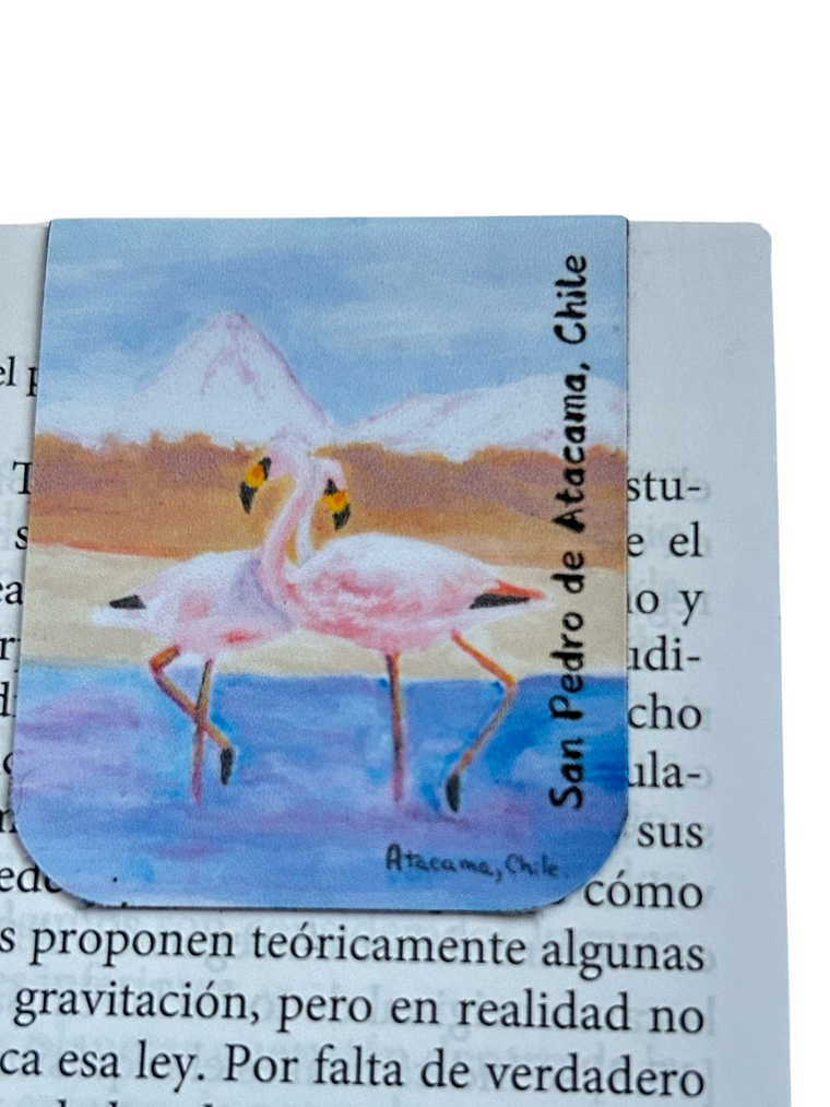 Marcadores de Página Imantados de ilustraciones Chilenas 7