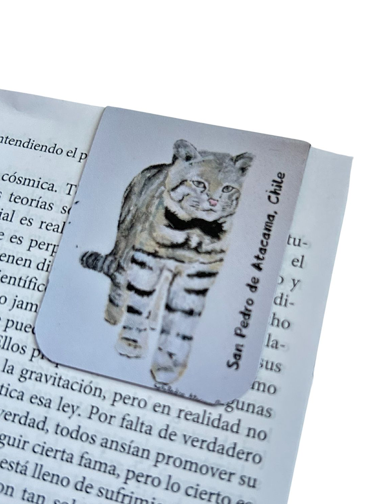 Marcadores de Página Imantados de ilustraciones Chilenas 8