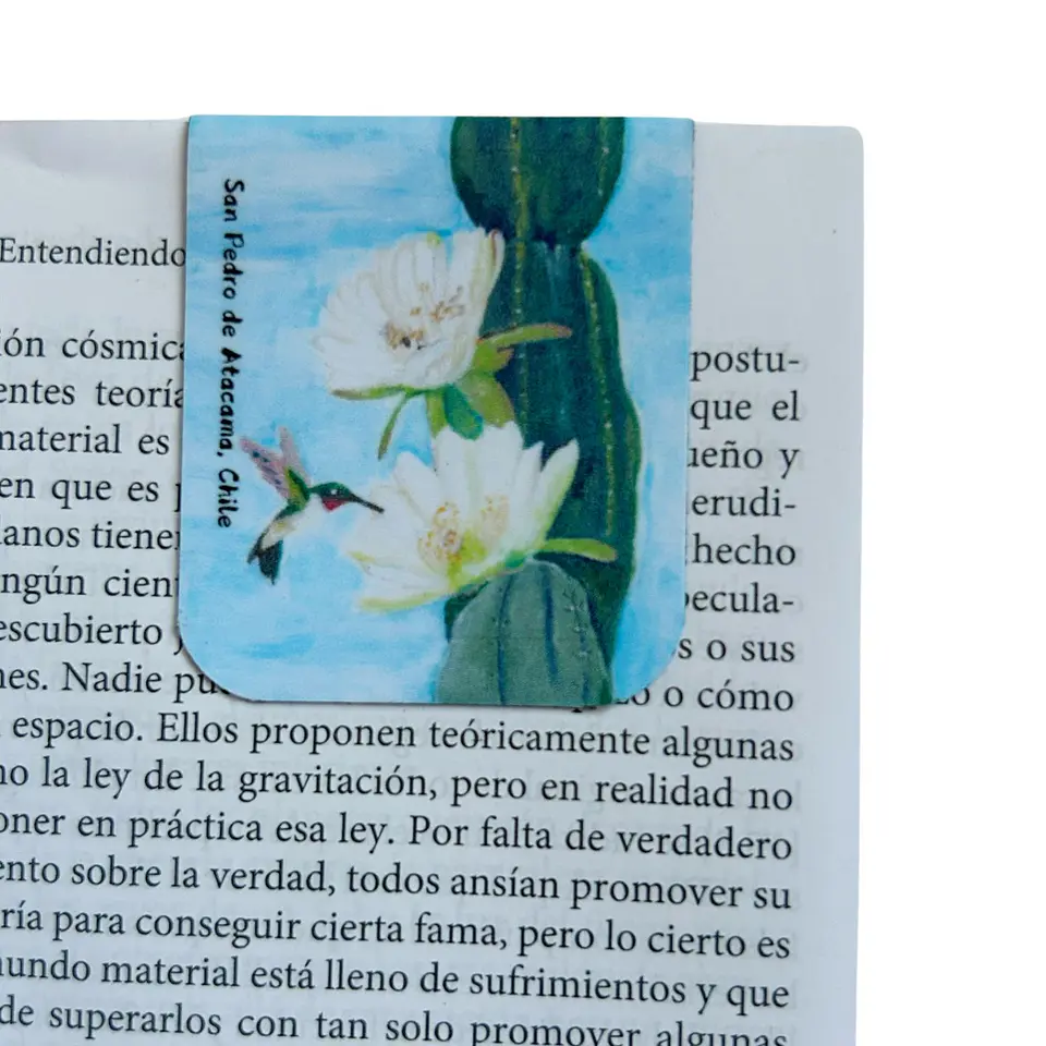 Marcadores de Página Imantados de ilustraciones Chilenas 9
