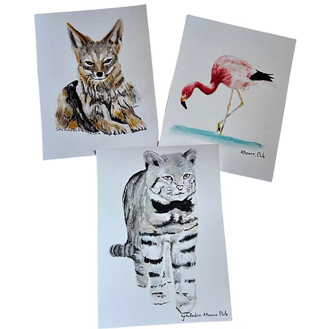 Impresiones Ilustraciones de Fauna Nortina